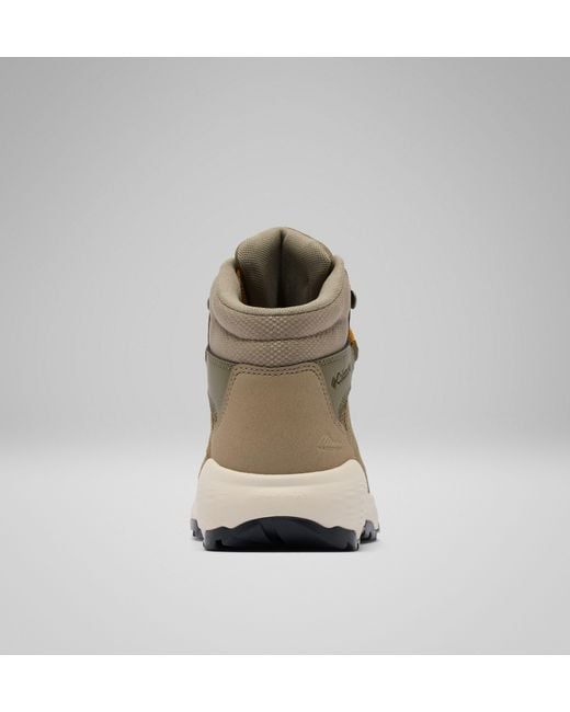 Columbia Brown Columbia