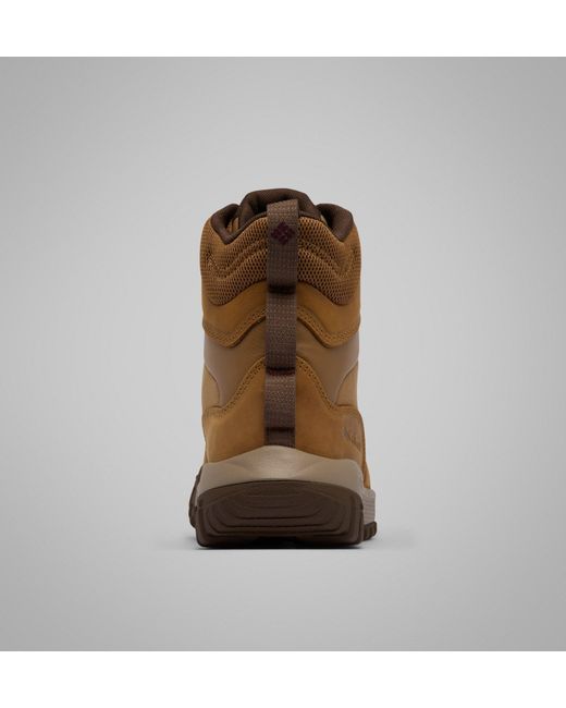 Columbia Brown Columbia