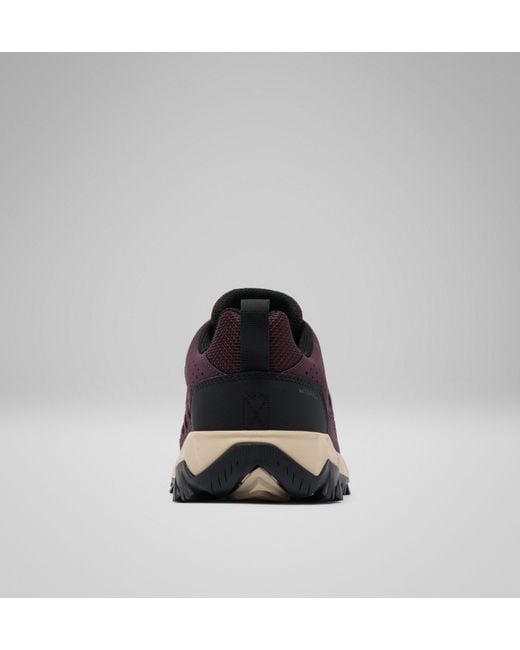 Columbia Brown Columbia