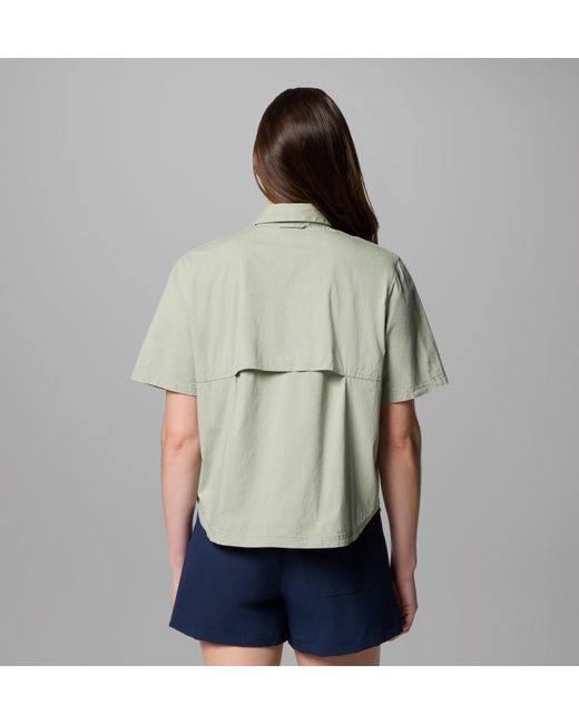 Columbia Green Columbia