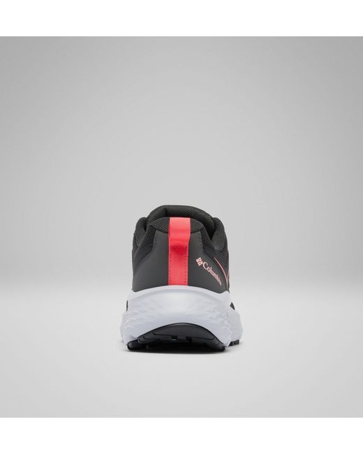 Columbia Black Columbia