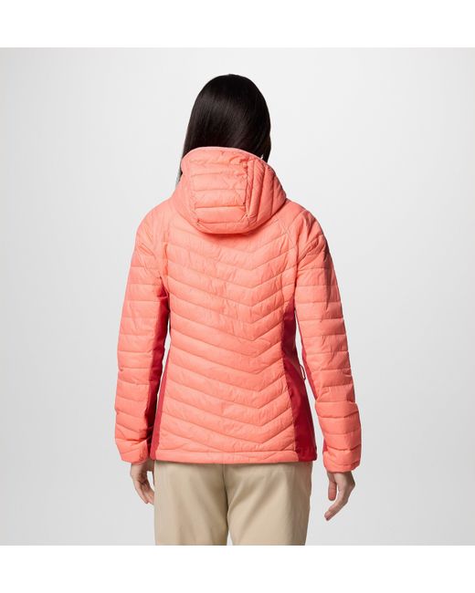 Columbia Red Columbia