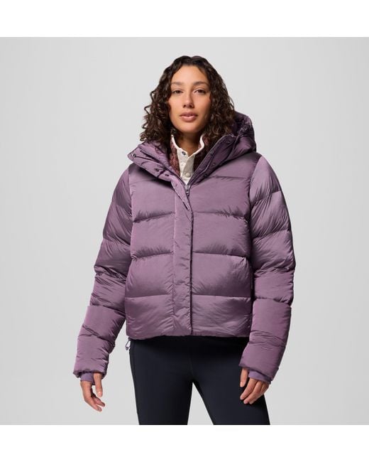 Columbia Purple Columbia