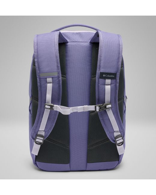 Columbia Purple Columbia