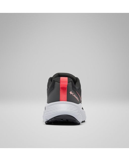 Columbia Black Columbia