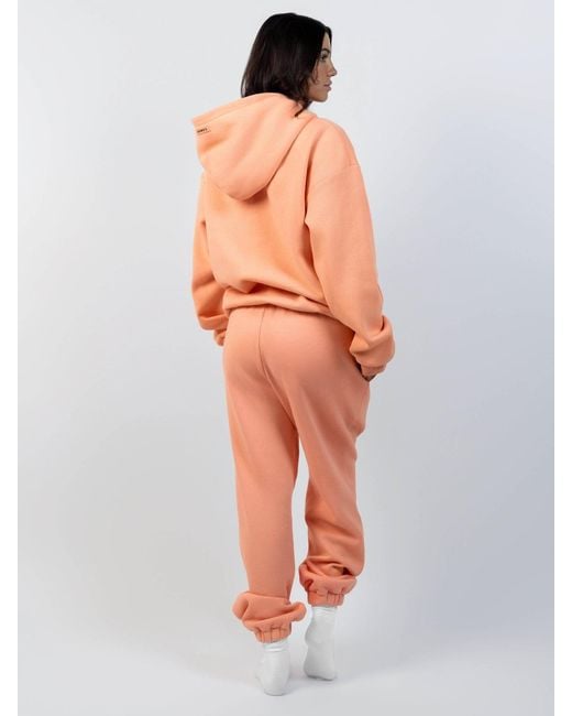 Comfrt Orange Pastel Sweatpants