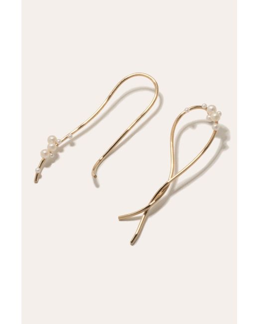Completedworks Multicolor Wild Relatives
