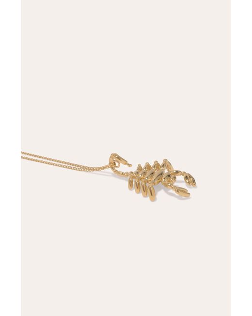 Completedworks Multicolor Classicworks Scorpio Zodiac Balloon
