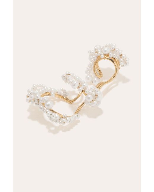 Completedworks Natural What Do You See