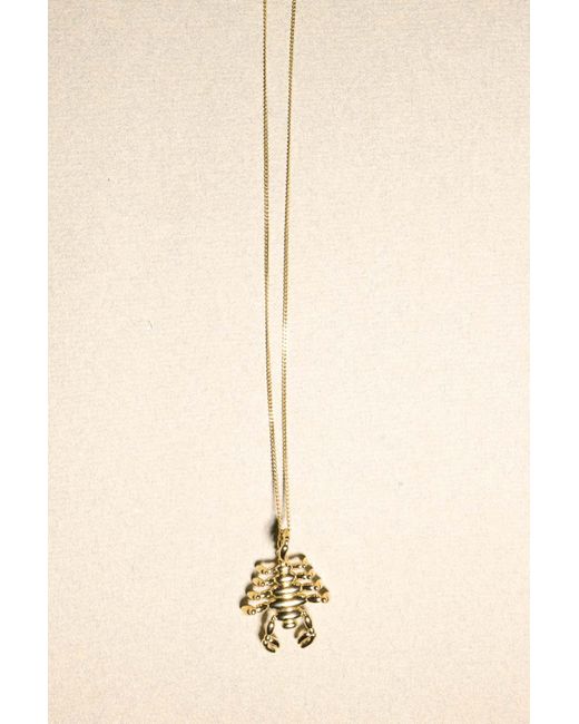 Completedworks Multicolor Classicworks Scorpio Zodiac Balloon