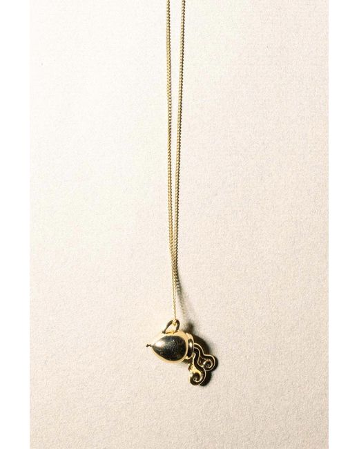Completedworks Natural Classicworks Aquarius Zodiac Balloon