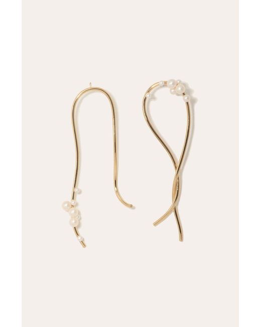 Completedworks Multicolor Wild Relatives