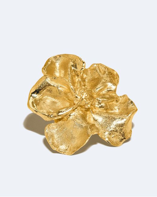 Women's Metallic Love Don'T Lie