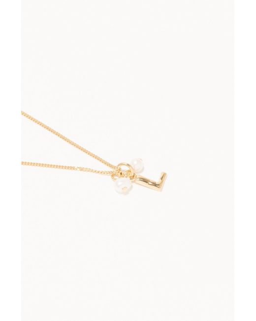 Completedworks Multicolor Classicworks L