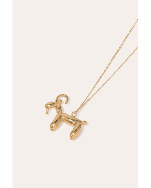 Completedworks Multicolor Classicworks Capricorn Zodiac Balloon