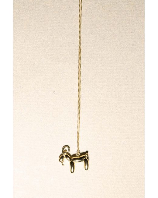 Completedworks Multicolor Classicworks Capricorn Zodiac Balloon