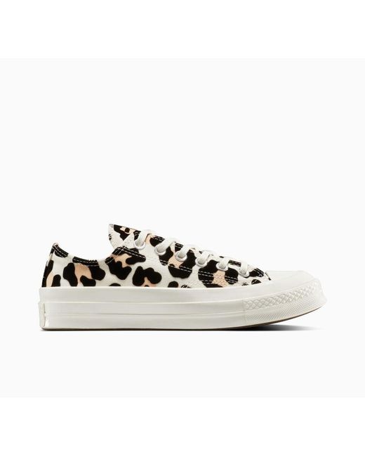 Chuck 70 Leopard Converse en coloris White
