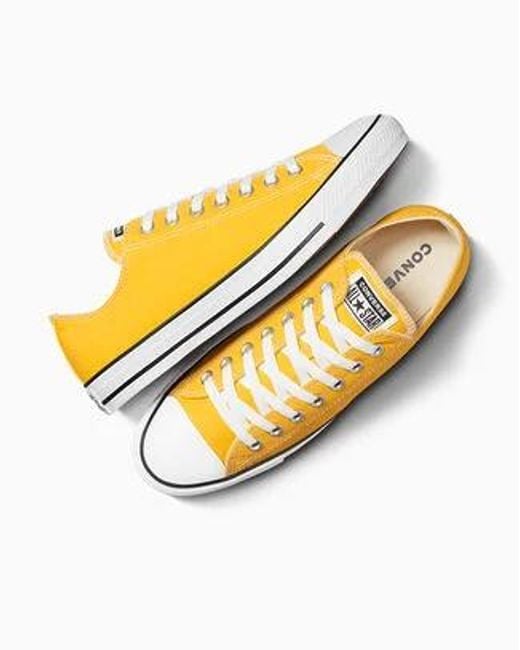 Converse Yellow Chuck Taylor All Star Canvas Low Top Shoe