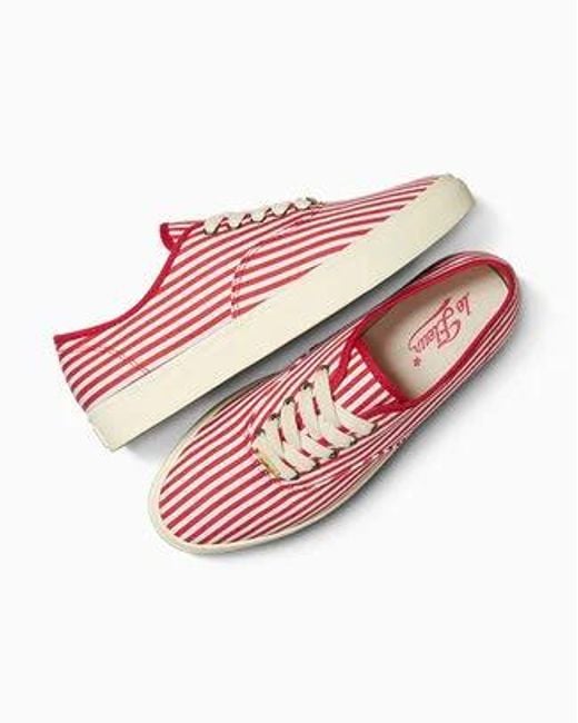 Converse Pink 1908 Naut-1