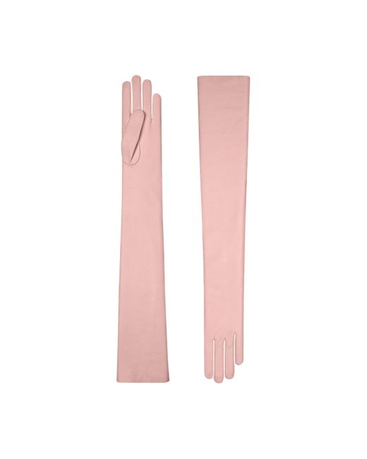 Cornelia James Pink Celestine