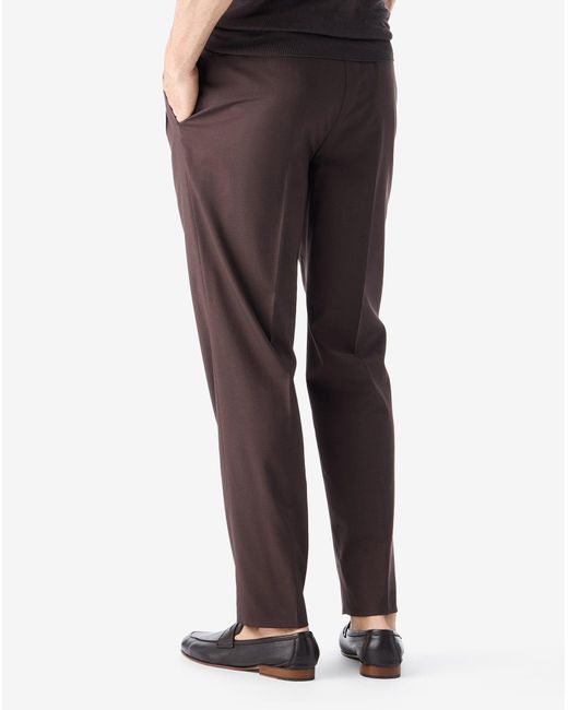 Corneliani Brown 160's Wool And Stretch Silk Trousers for men