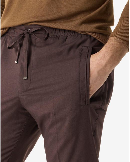Corneliani Brown 160's Wool And Stretch Silk Trousers for men