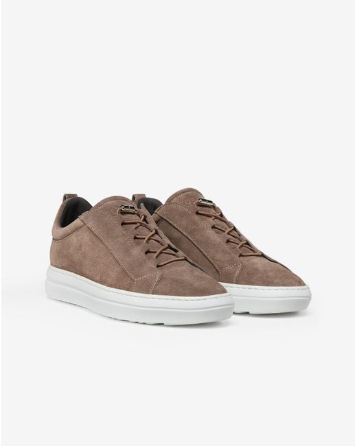 Corneliani Brown Taupe Slip-On Trainers With Elastic Suede Lacing for men