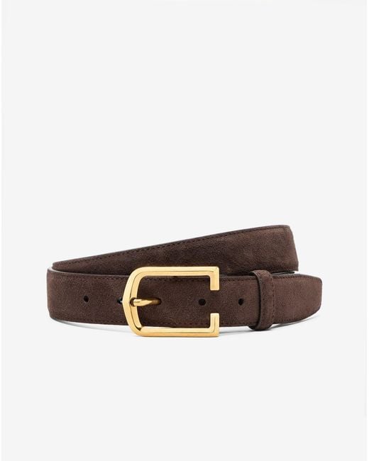 Corneliani Brown Dark Suede Belt for men