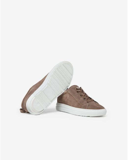 Corneliani Brown Taupe Slip-On Trainers With Elastic Suede Lacing for men