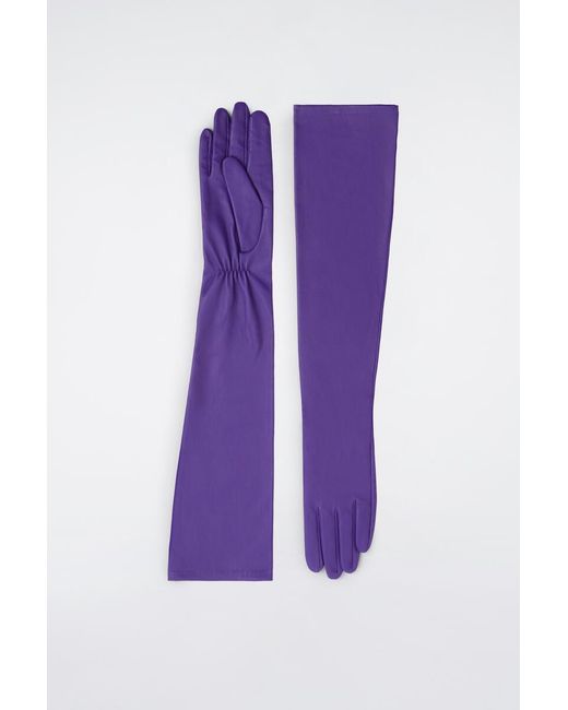 COS Purple Long Leather Gloves