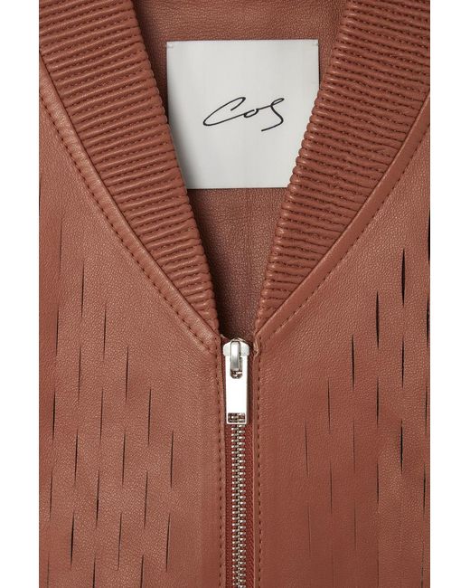 COS Brown The Perforated Leather Longline Bomber Jacket