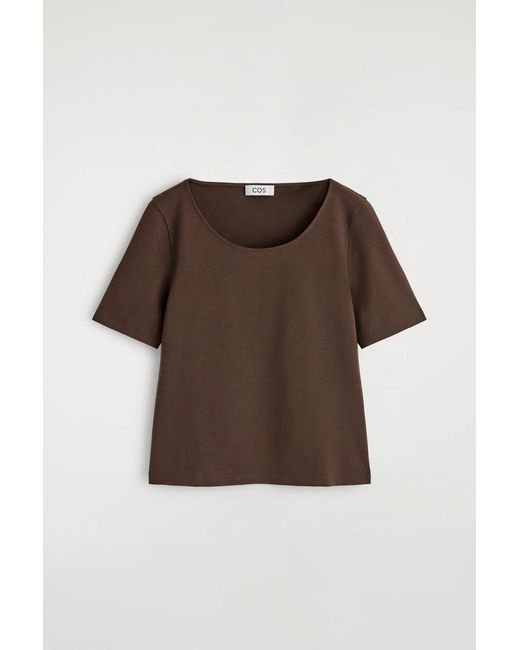 COS Brown Slim Scoop-Neck Cotton T-Shirt