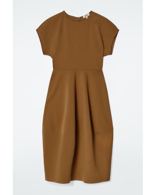 COS Brown Sculpted Cotton Midi Dress
