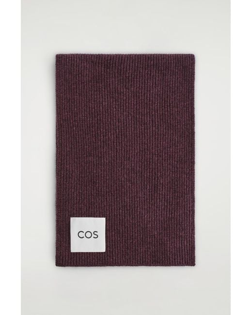 Sciarpa di COS in Purple