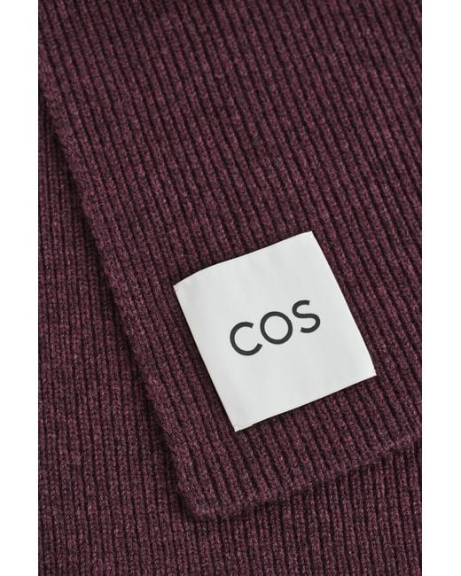 Sciarpa di COS in Purple