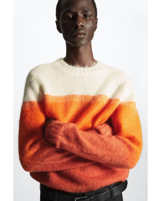 Orange stripe leopard jumper online