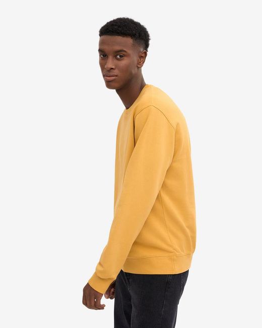 COLORFUL STANDARD Orange Classic Organic Crew Neck Sweatshirt for men
