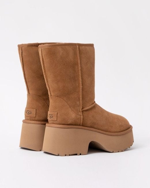 Ugg Brown Classic New Heights Short Platform Boot