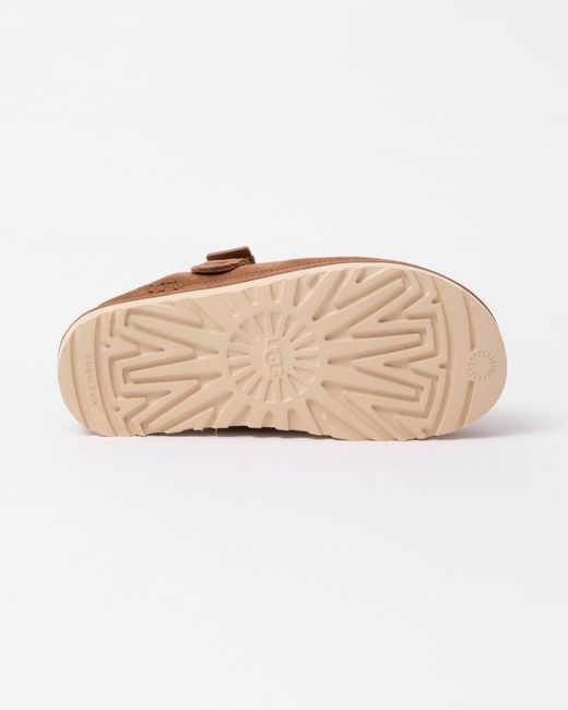 Ugg Brown Goldenstar Clog