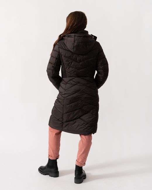 Joules Black Pembury Coat