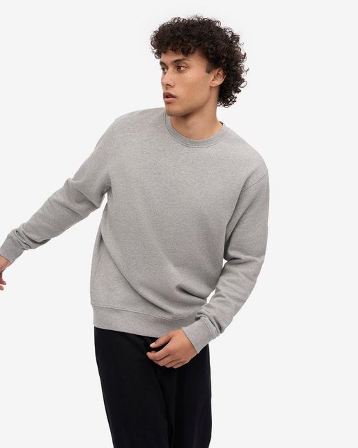 COLORFUL STANDARD Gray Classic Organic Crew Neck Sweatshirt for men