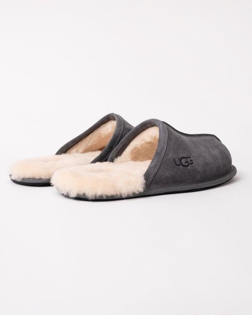 Ugg Gray Scuff Slipper for men