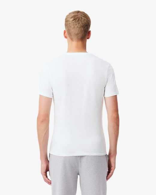 Lacoste White 3-Pack Plain T-Shirts for men
