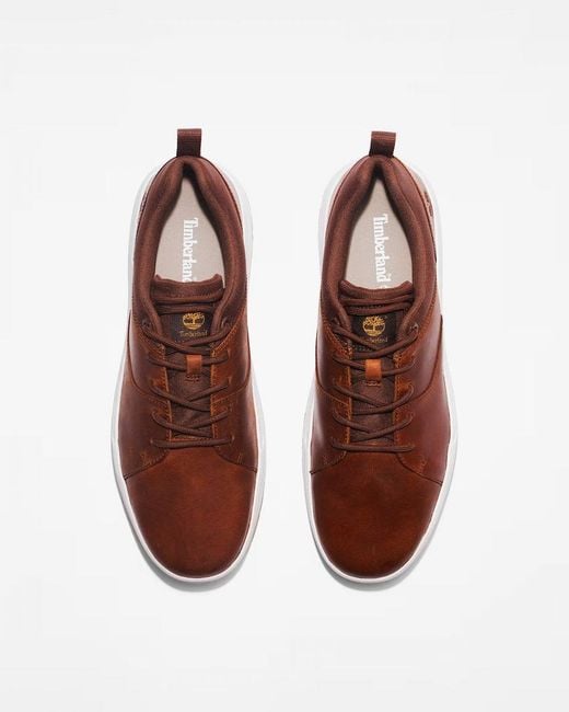 Timberland Brown Maple Grove Low Trainers for men