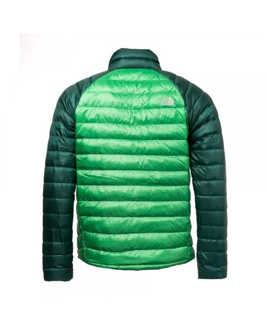 the north face men's trevail