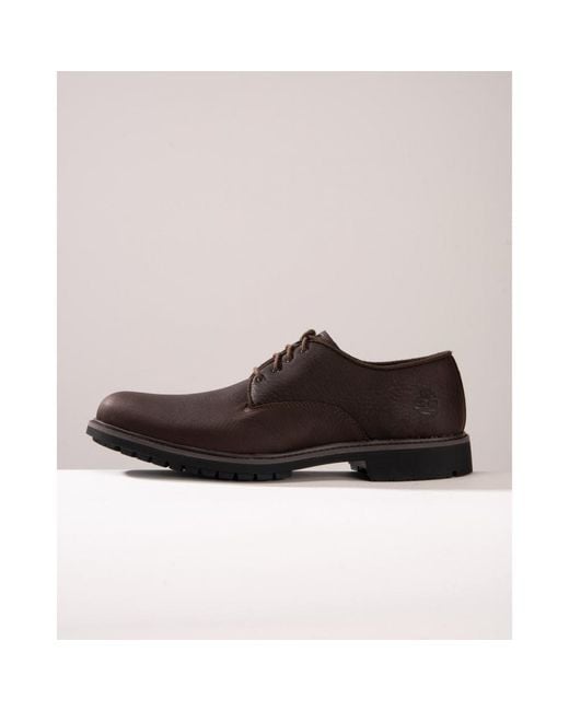 Timberland Brown Stormbucks Waterproof Oxford Shoes for men