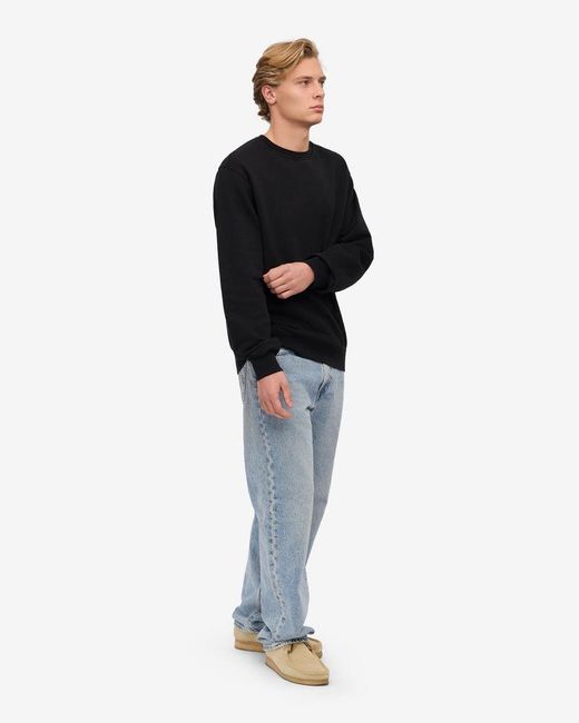 COLORFUL STANDARD Black Classic Organic Crew Neck Sweatshirt for men