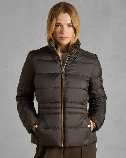 Joules Brown Paddock Showerproof Padded Jacket
