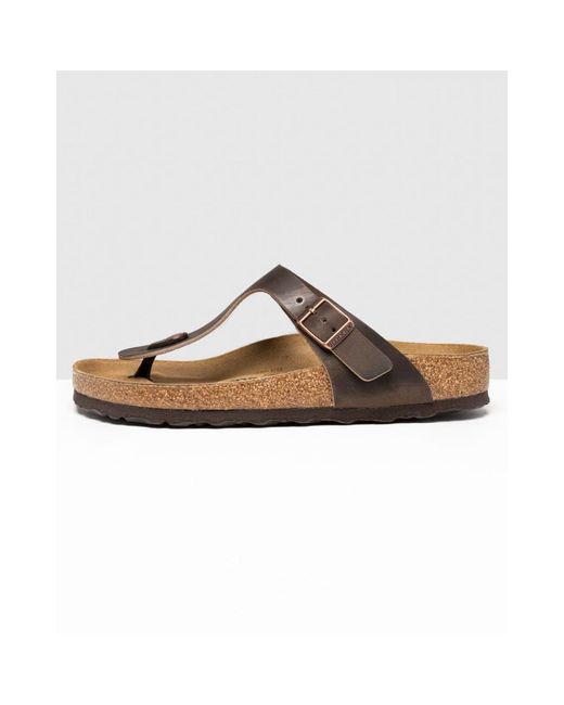 Birkenstock Gizeh Oiled Leather Habana | Lyst Canada
