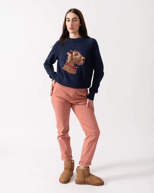 Joules Blue Monty Dog Jumper